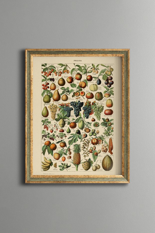 Fruit Varieties - Vintage Patterned Painting - Slim Model