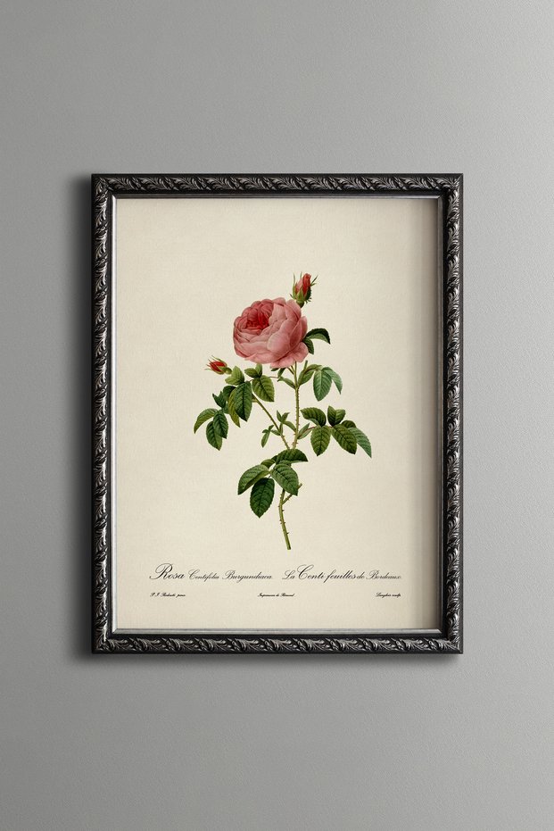 Pink Rose - Vintage Patterned Painting - Slim Model