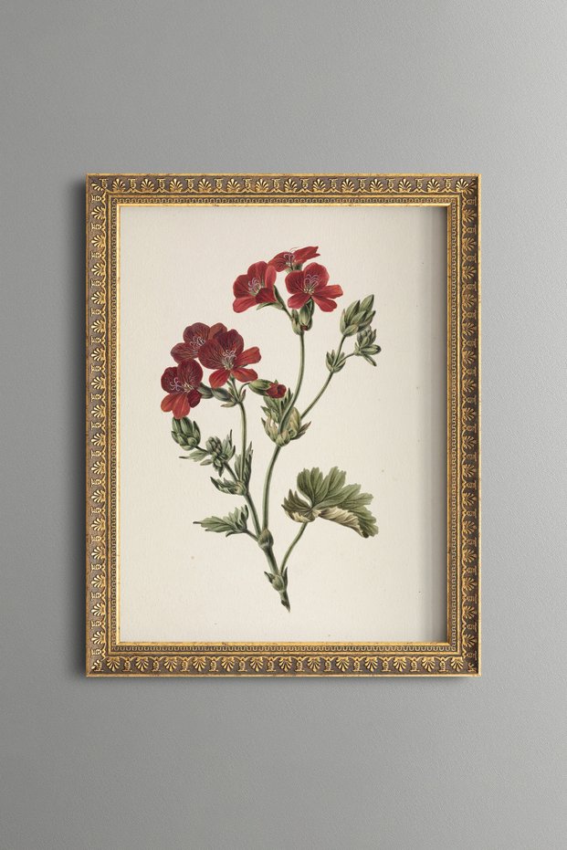 Carnation Bouquet - Vintage Patterned Painting - Slim Model