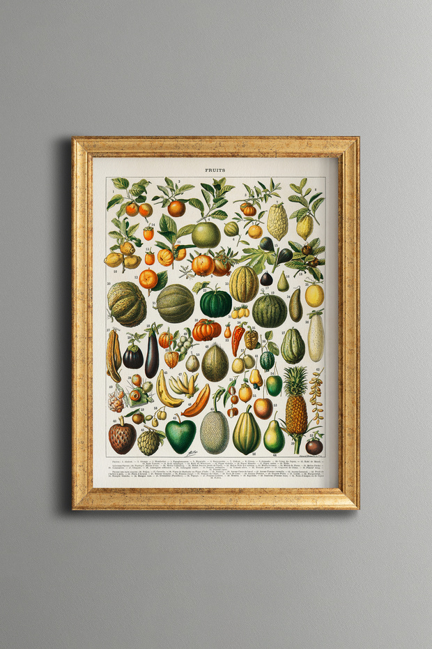 Fruits and Vegetables - Vintage Patterned Painting - Slim Model