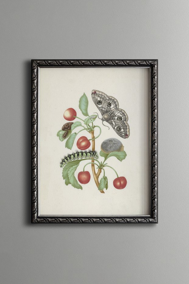 Cherries and Butterflies - Vintage Patterned Painting - Slim Model