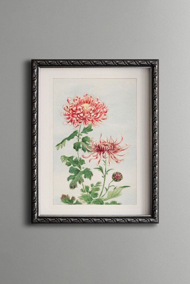 Pink Chrysanthemum - Vintage Patterned Painting - Slim Model