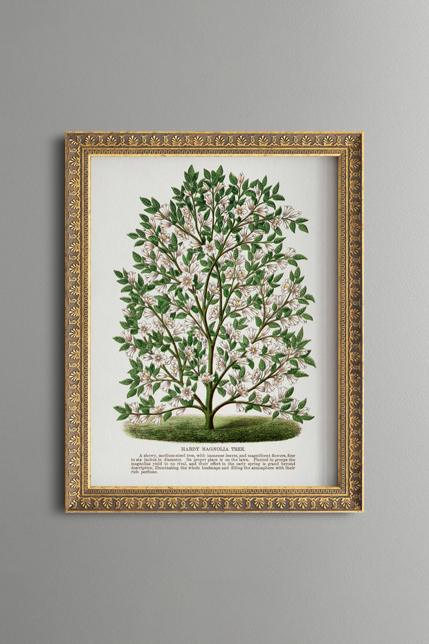 Magnolia Tree - Vintage Patterned Painting - Slim Model