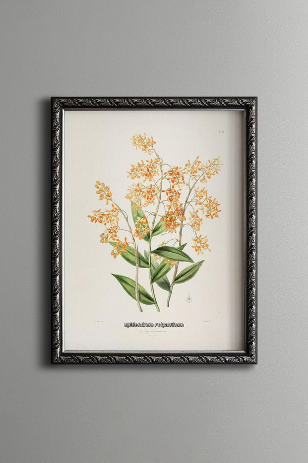 Orchid Branch - Vintage Patterned Painting - Slim Frame