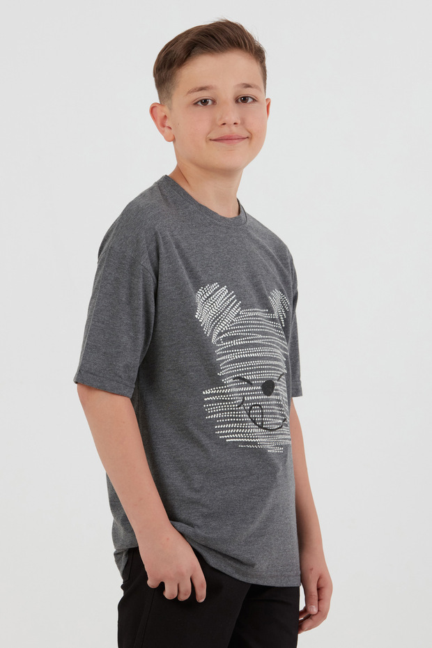 Teddy Bear Printed Crew Neck Boys T-Shirt