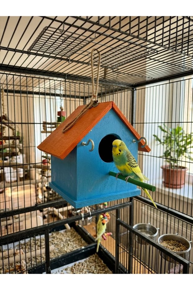 Wooden Budgie Lovebird Bird House Folluk 15X15X20 cm