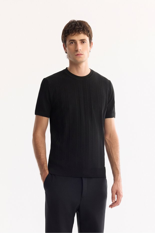 Men's Black Crew Neck Striped Knitwear Regular Fit T-Shirt A52Y5005