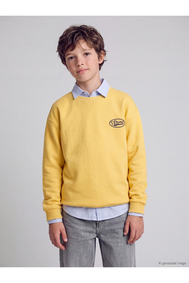 Ozmarka New Season Yellow Printed Thick Boys' Sweatshirt