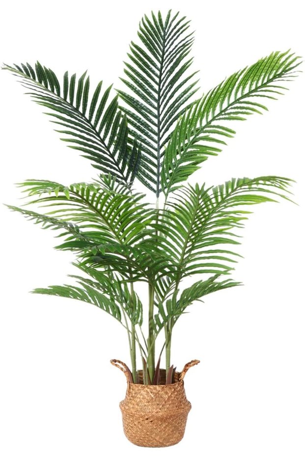 نباتات اصطناعية، خيزران صناعي على شكل ظهر السلحفاة، شجرة صناعية بارتفاع 160 سم مع سلة منسوجة