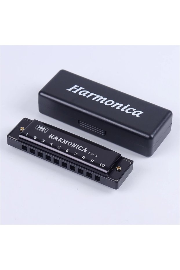 Black Harmonica Key of C 10 Hole Diatonic Harmonica C with Case for Beginner Students Kids Gift with