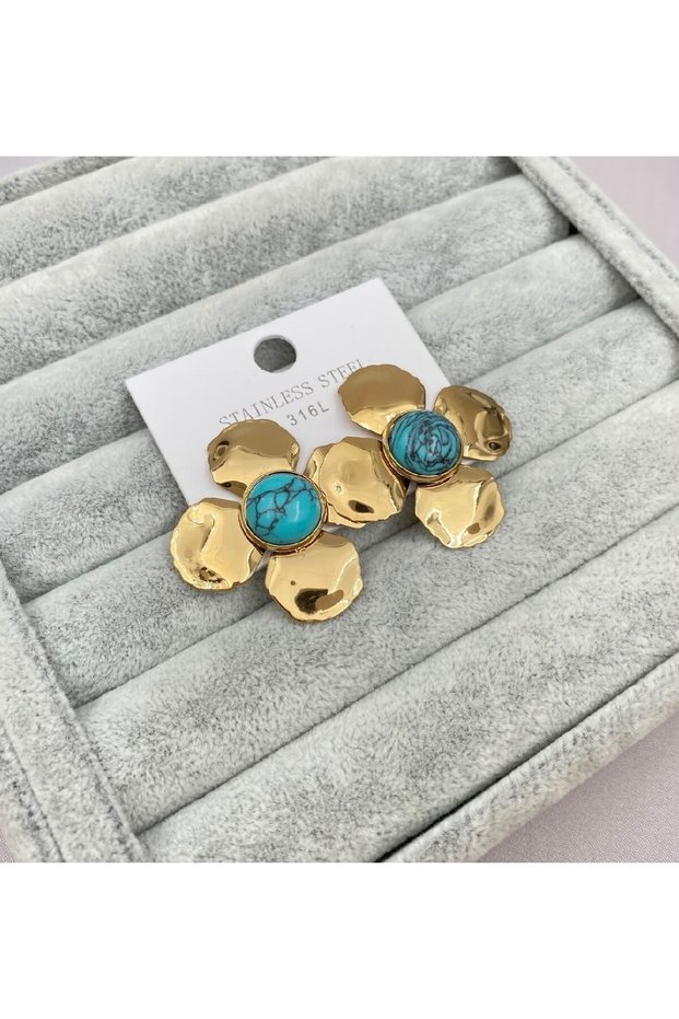 Steel Earrings
