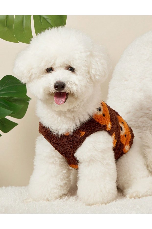 Dog coat, Brown