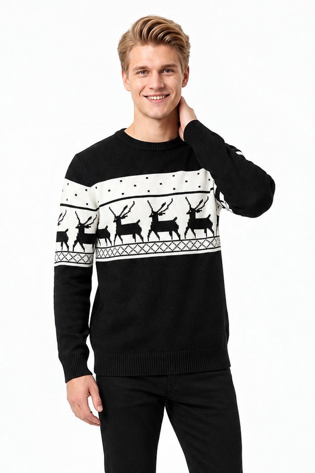Men's Deer Pattern Crew Neck Long Sleeve Thick Winter Casual Knit Sweater