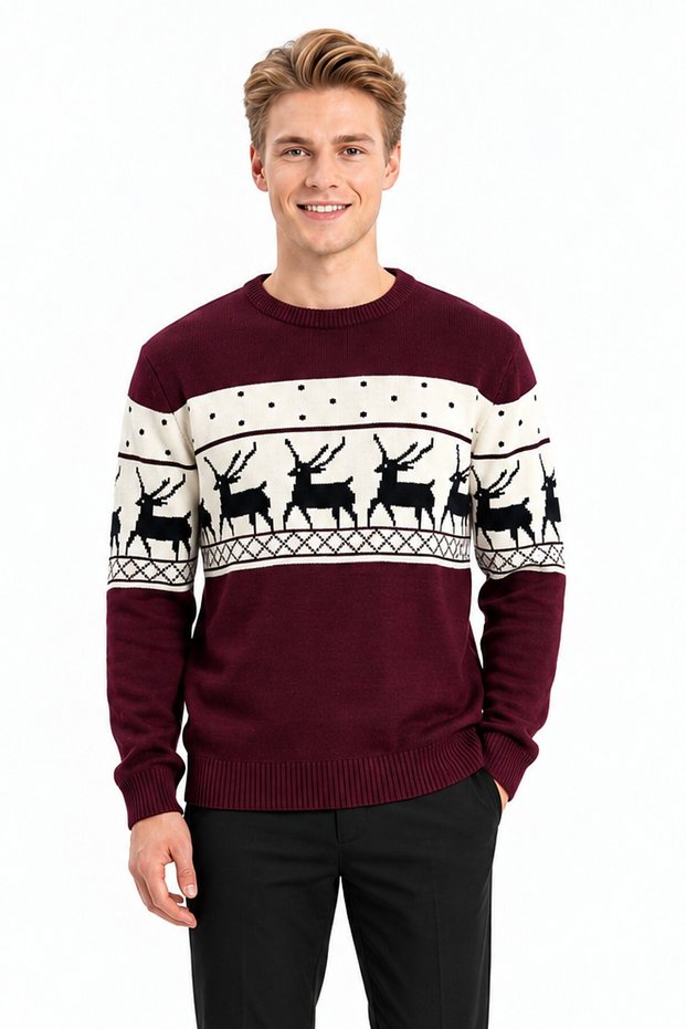 Men's Deer Pattern Crew Neck Long Sleeve Thick Winter Casual Knit Sweater