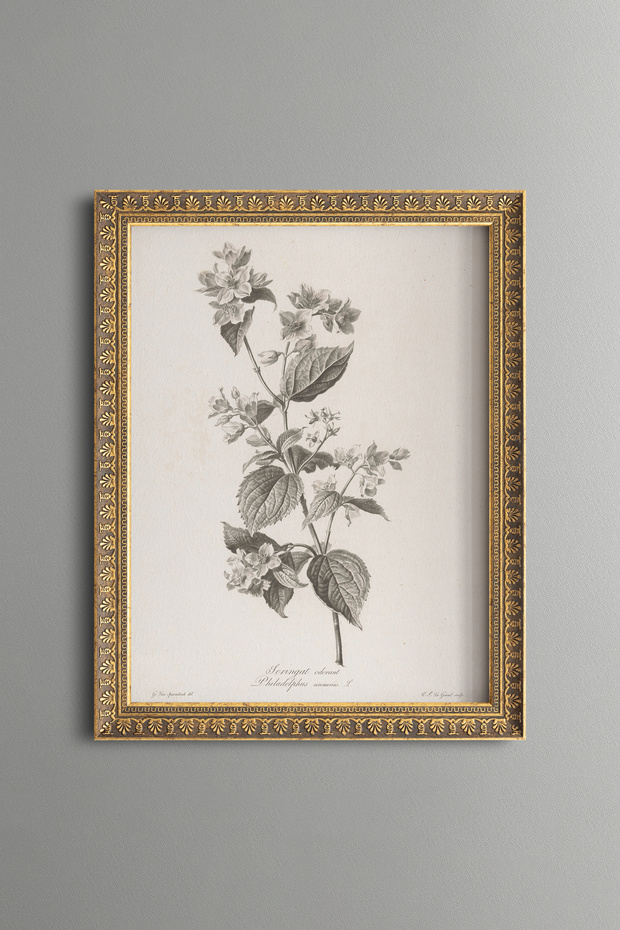 Bouquet of Flowers - Vintage Patterned Painting - Delicate Design