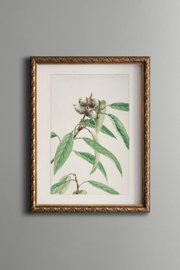 Bud Flower Branch - Vintage Patterned Painting - Slim Model