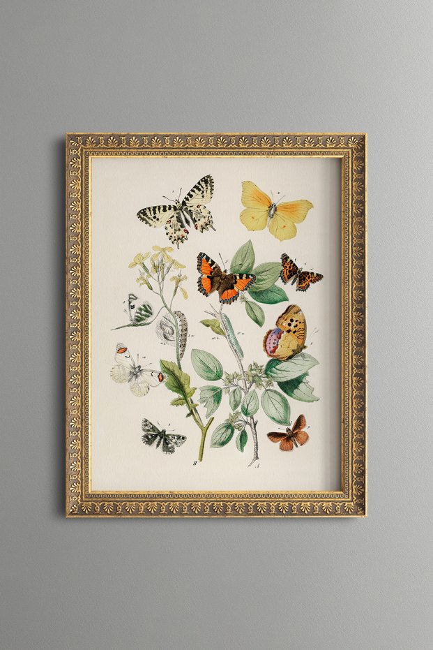Spring Butterflies - Vintage Patterned Painting - Slim Model