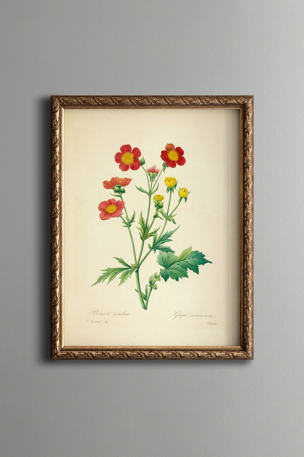 Red Flowers - Vintage Patterned Painting - Slim Model