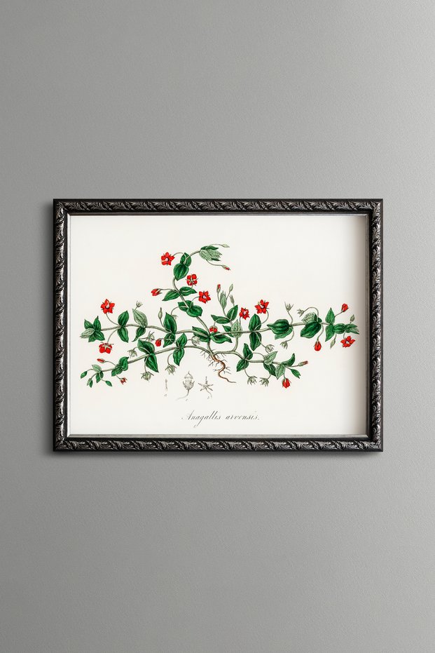 Farekulağı Flowers - Vintage Patterned Painting - Slim Model