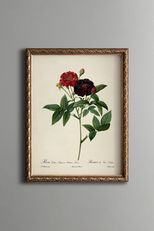 Dark Red Roses - Vintage Patterned Painting - Slim Frame
