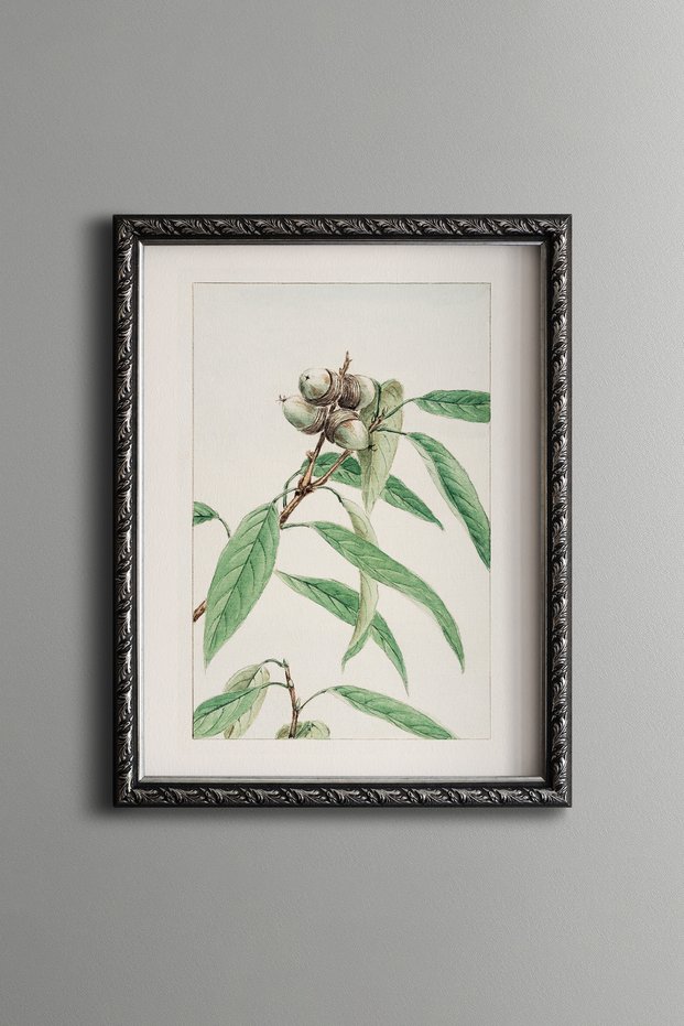 Bud Flower Branch - Vintage Patterned Painting - Slim Model