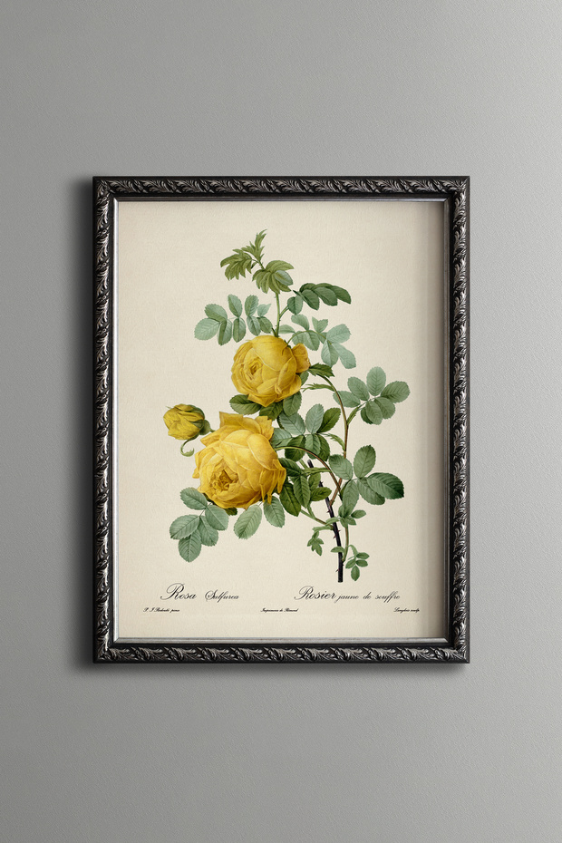 Yellow Rose Branch - Vintage Patterned Painting - Slim Model