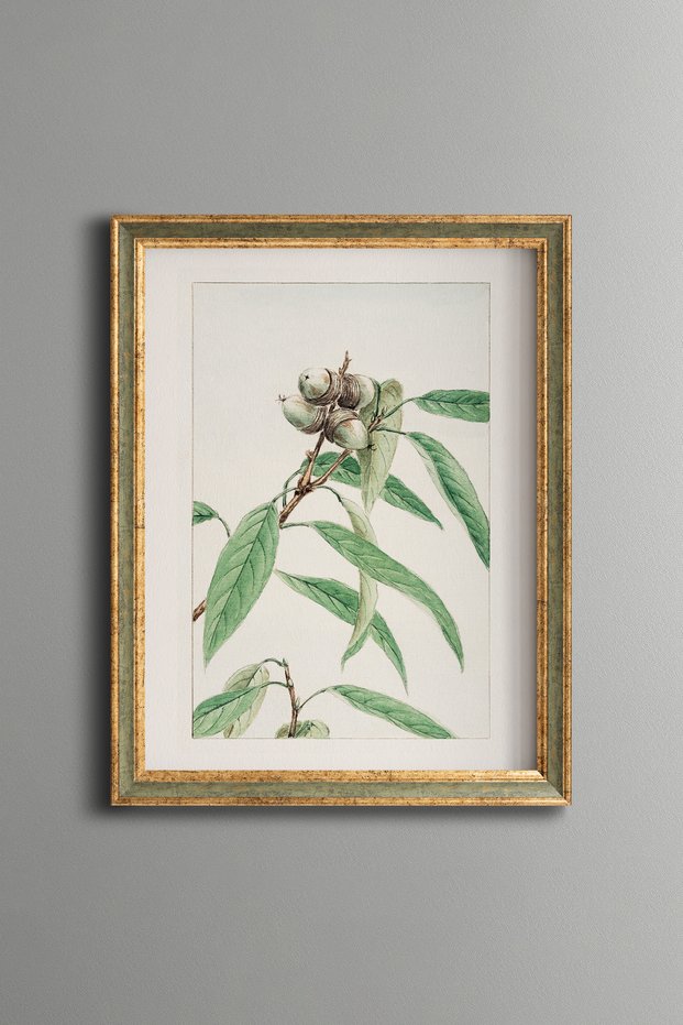 Bud Flower Branch - Vintage Patterned Painting - Slim Model