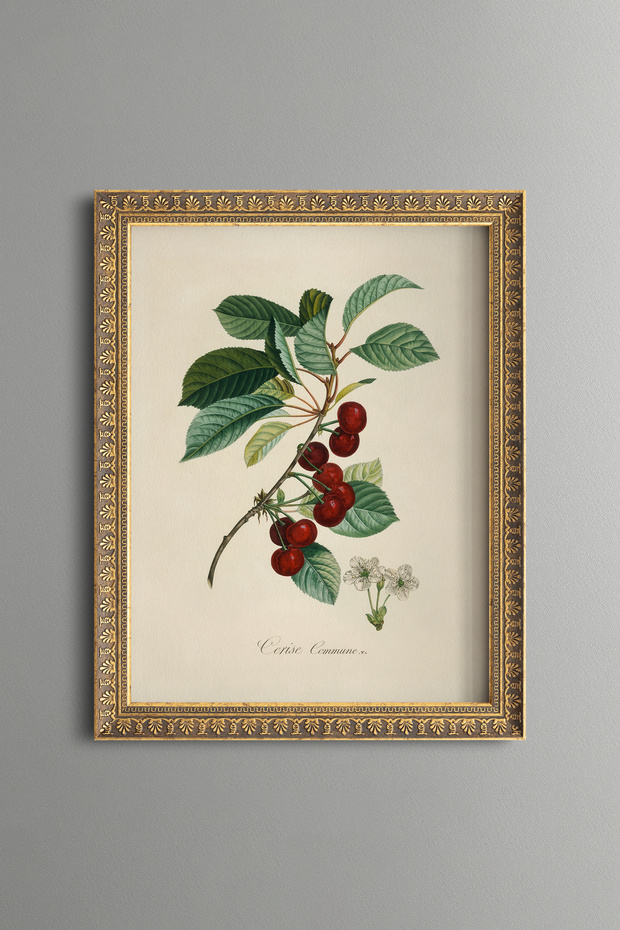 Cherry Branch - Vintage Patterned Painting - Slim Model
