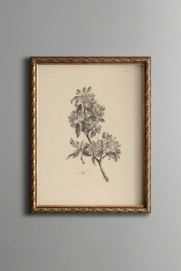 Wildflower Bouquet - Vintage Patterned Painting - Slim Frame