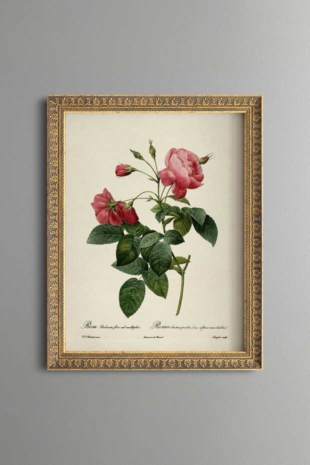 Pink Rose Branch - Vintage Patterned Painting - Slim Model