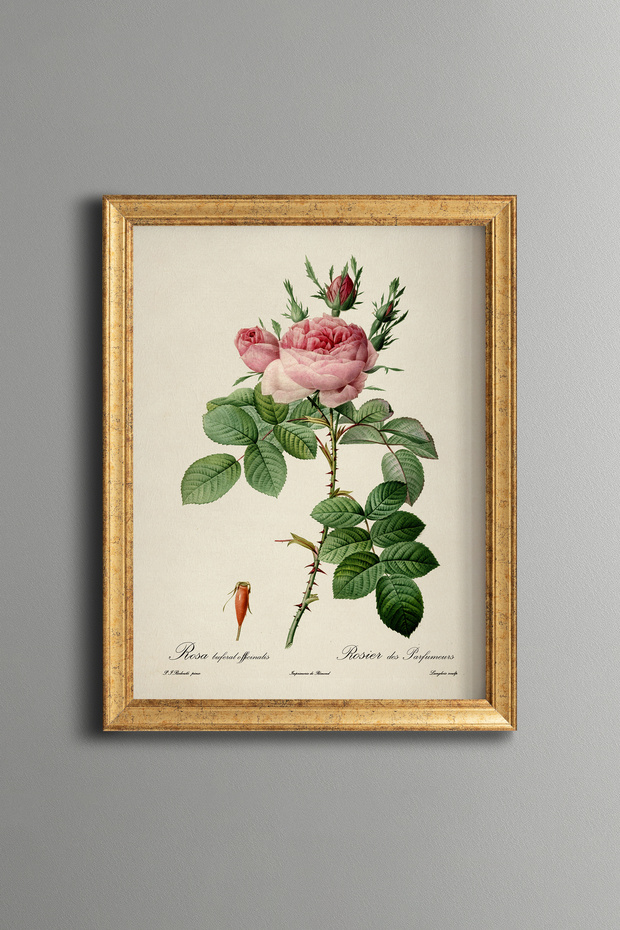 Pink Roses - Vintage Patterned Painting - Slim Frame