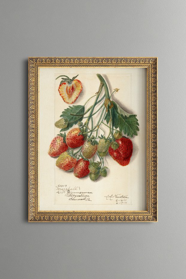 Strawberry Branch - Vintage Patterned Painting - Slim Model