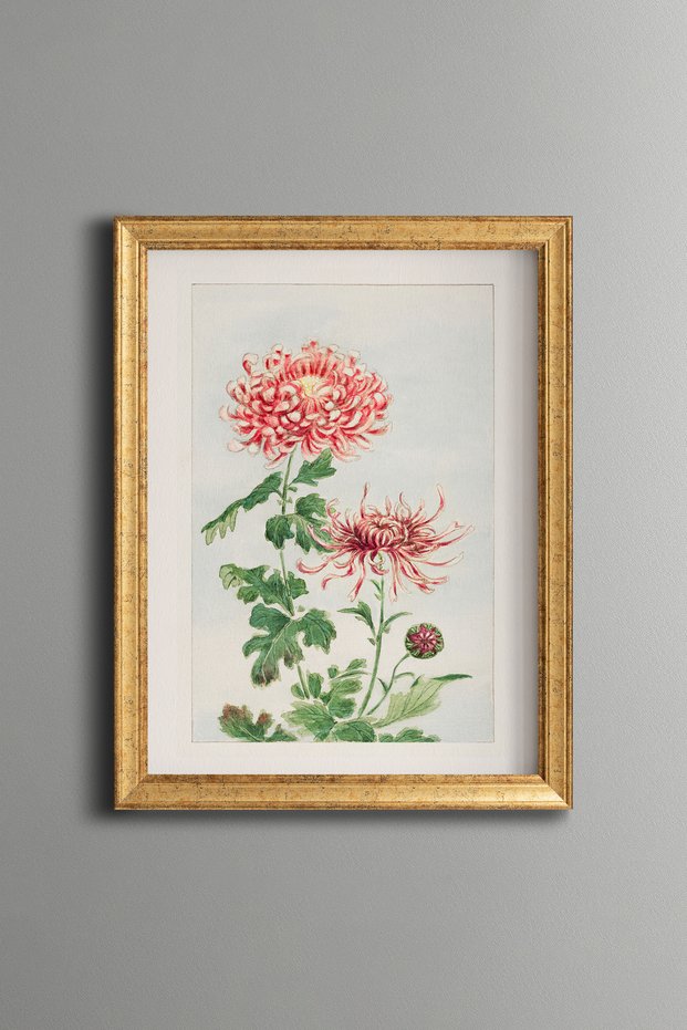 Pink Chrysanthemum - Vintage Patterned Painting - Slim Model