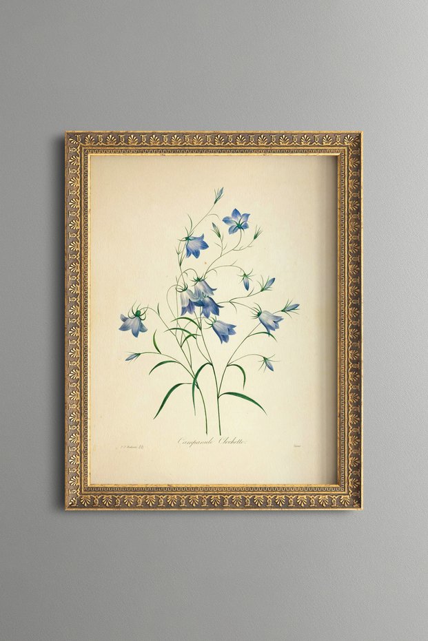 Bellflower - Vintage Patterned Painting - Slim Model