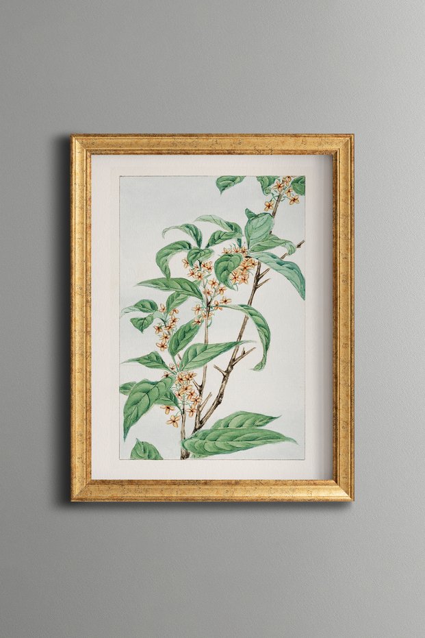 Floral Magnolia Branch - Vintage Patterned Painting - Slim Model