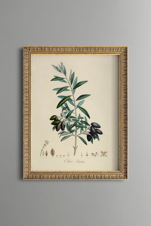 Olive Branch - Vintage Patterned Painting - Slim Model