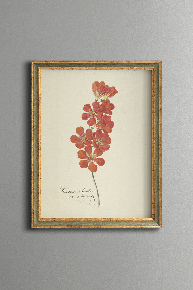 Red Flower Branch - Vintage Patterned Painting - Slim Model