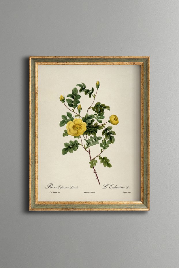 Yellow Flower Branches - Vintage Patterned Painting - Slim Model