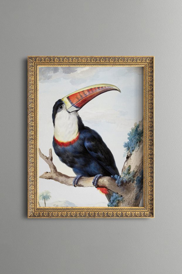 Red-Billed Toucan - Vintage Patterned Painting - Slim Frame