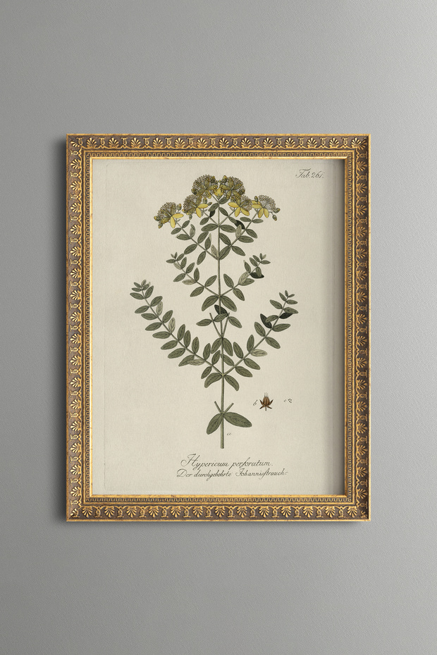 St. John's Wort - Vintage Patterned Painting - Slim Model