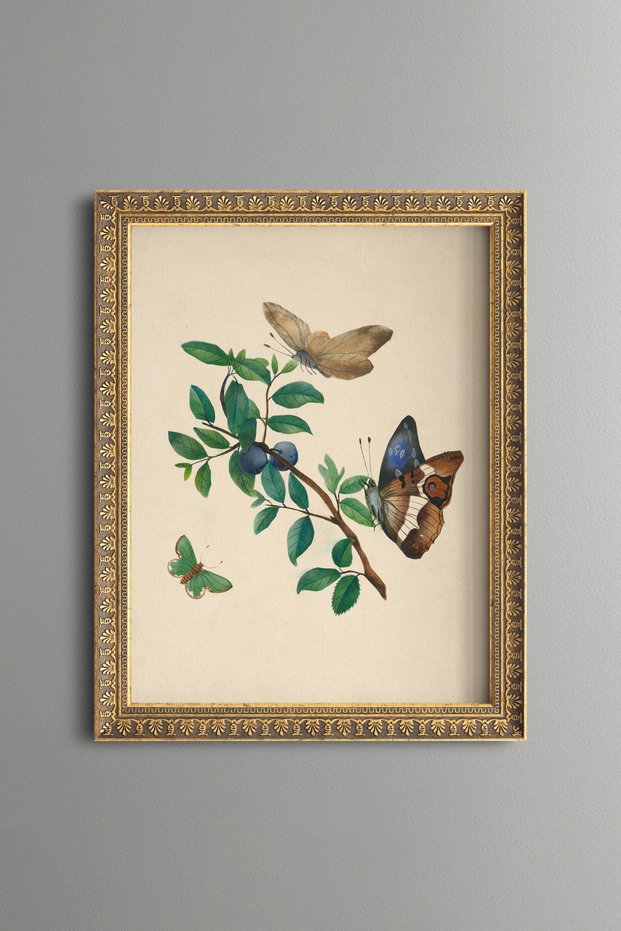 Cherries and Butterflies - Vintage Patterned Painting - Slim Model