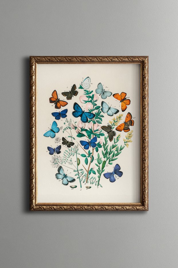 Blue Butterflies and Flowers - Vintage Patterned Painting - Slim Frame
