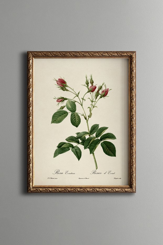 Pink Rose Hills - Vintage Patterned Painting - Slim Model
