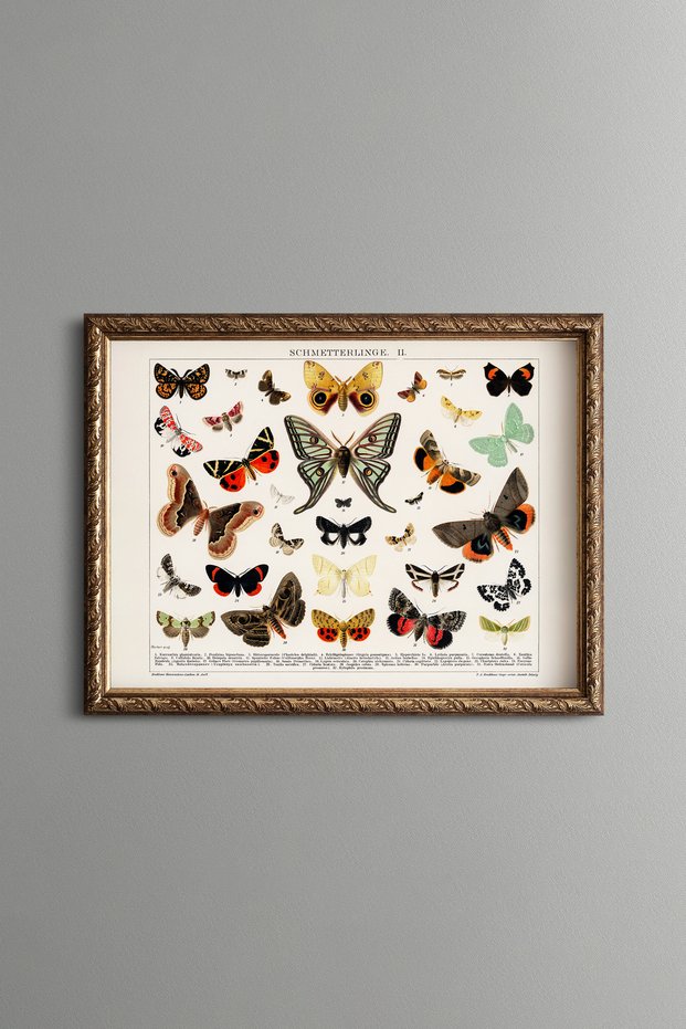 Butterflies and Moths - Vintage Patterned Painting - Slim Model