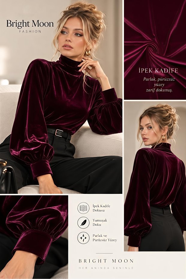 Women's Blouse Silk Velvet Mock Neck Long Sleeve Stylish Blouse