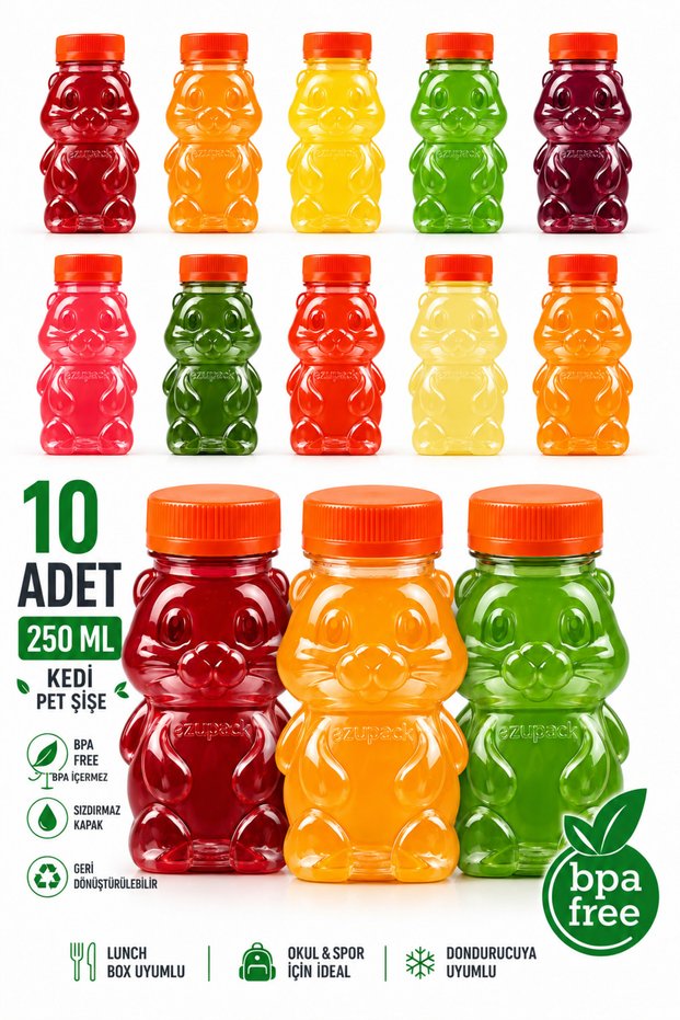 CAT PET BOTTLE School Picnic Fruit Juice Smoothie Detox Ginger Clear Plastic Empty Leak-Proof Beverage Bottles, 10-Pack
