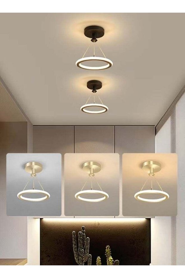 19W LED Ceiling Light with 3-Color Dimmable Temperatures, 20cm Black Modern Flush Mount