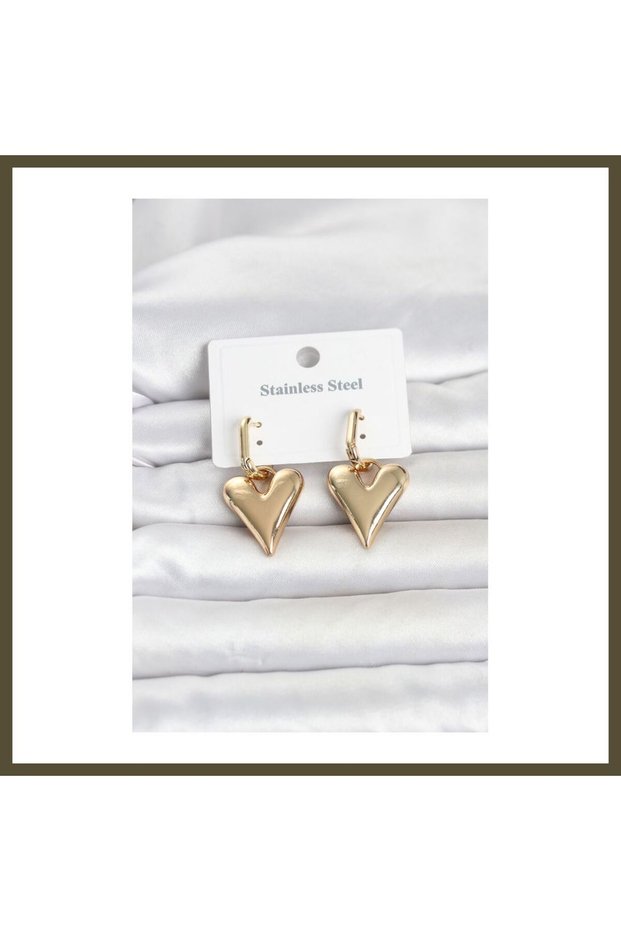 316L Stainless Steel Gold-Toned Women's Earrings BX