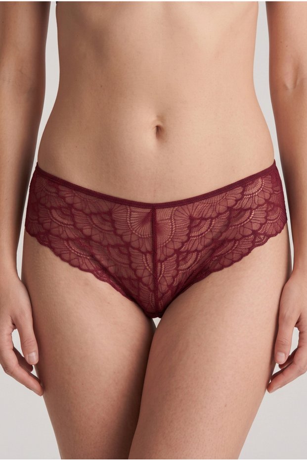 2659 Regular Tulle Briefs