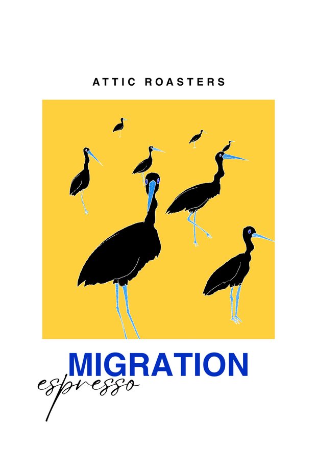 Migration Çekirdek Kahve 1 KG